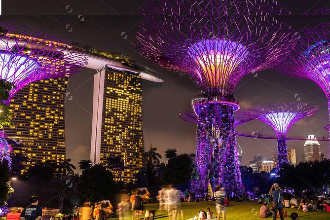 Lion City Night Out + Roundtrip Transfers - Seeing Gardens by the Bay and the Supertrees
