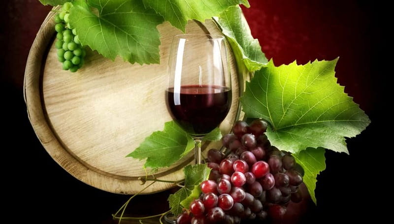 Madrid Wine Tasting, Flamenco Class and Trendy Bar - Who will enjoy this most?