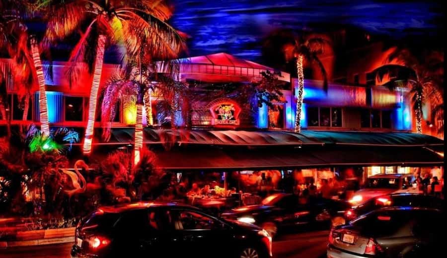Miami Pub Crawl + Clubbing Experience - Booking Details Worth Knowing Before You Go