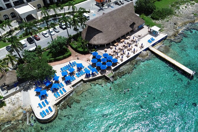 Money Bar Day Pass with Snorkel & Mexican Lunch - What the Money Bar experience is really about