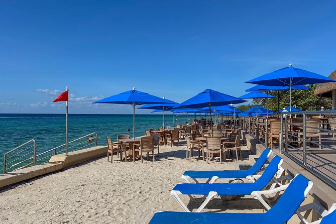 Money Bar Day Pass with Snorkel & Mexican Lunch - What the guided snorkel adds