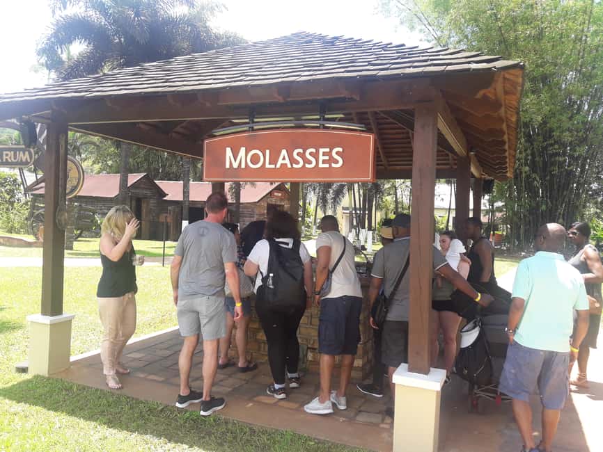 Montego Bay: 8-Hour Appleton & Pelican Bar Return Transfer - What happens inside Appleton Estate