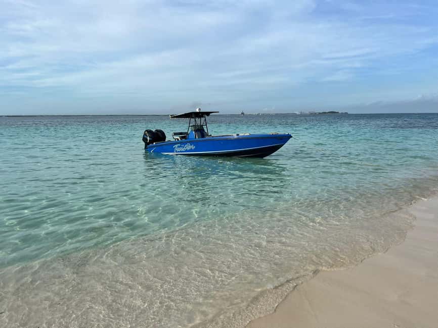Nassau: Snorkeling, Swimming Pigs, Turtles & beach bar - Key points to know before you book