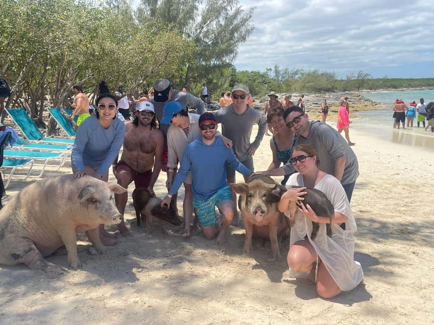 Nassau: Snorkeling, Swimming Pigs, Turtles & beach bar - What $210 buys you, and where the value sits