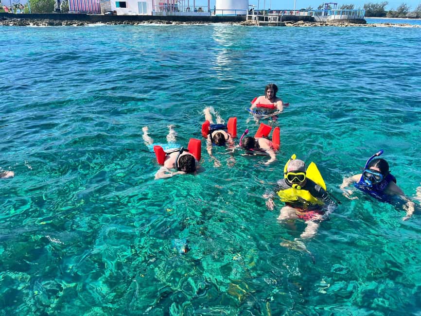 Nassau: Snorkeling, Swimming Pigs, Turtles & beach bar - Rose Island snorkeling, your first time in the water