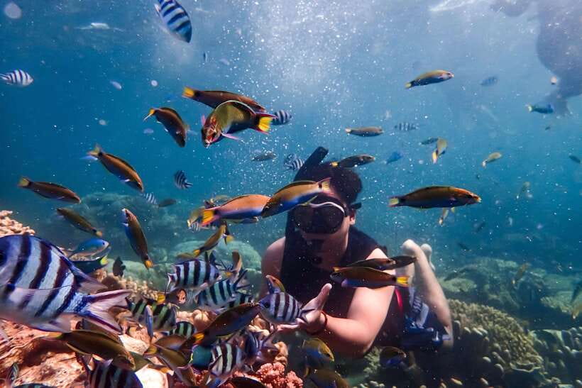 Nha Trang: Coral Reef Snorkeling, Mud Bath & Floating Bar - Key things to know before booking