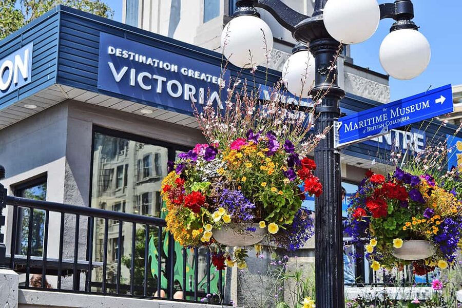 Pickle Pub Crawl: Ferry Rides and Appetizers - Fisherman’s Wharf: lively setting, limited shelter