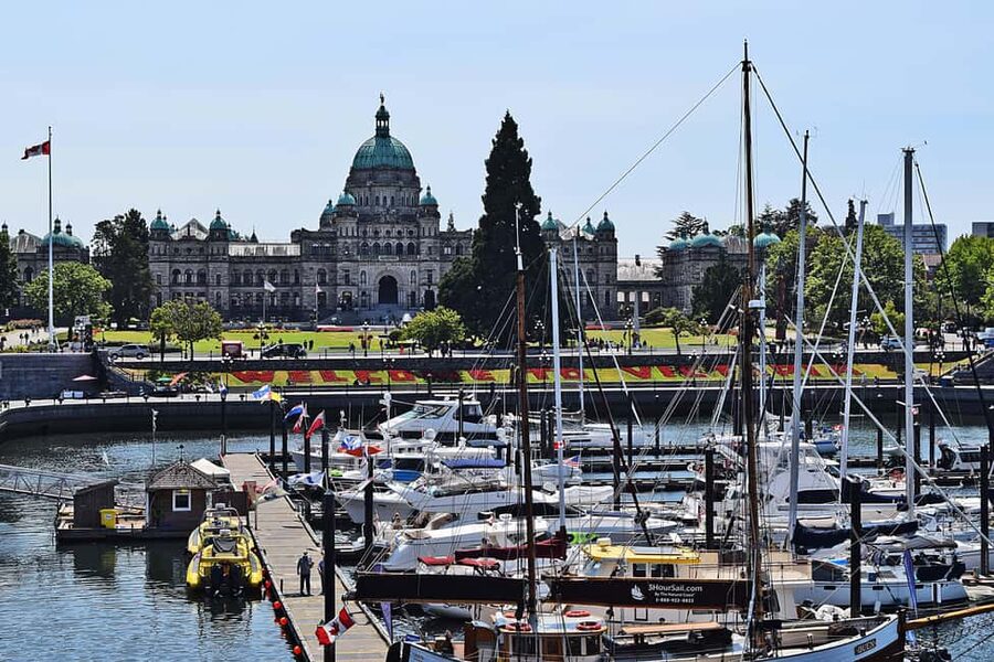 Pickle Pub Crawl: Ferry Rides and Appetizers - The second water taxi: a social reset