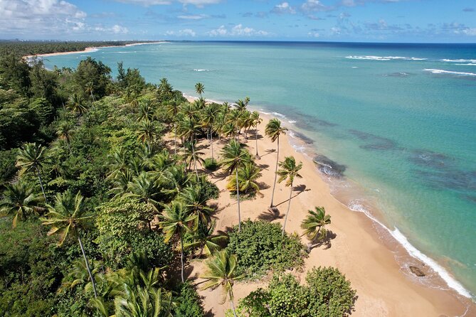 PR Chinchorreo-Beach and Bar Hopping Tour - Key points to know before booking