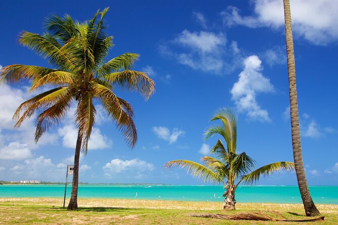 PR Chinchorreo-Beach and Bar Hopping Tour - Maunabo’s black sand beach