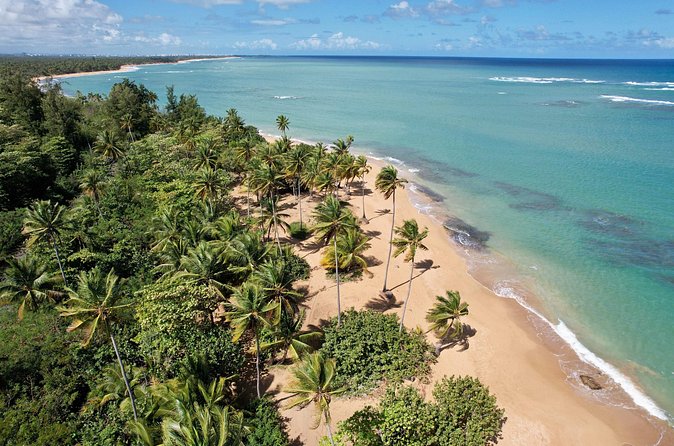 PR Chinchorreo-Beach and Bar Hopping Tour - Patillas: sea views with food on the side