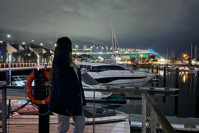 Private Night Tour of Auckland, Sky Tower Bar, Bridge & Museum - Auckland after dark, with the driving taken care of