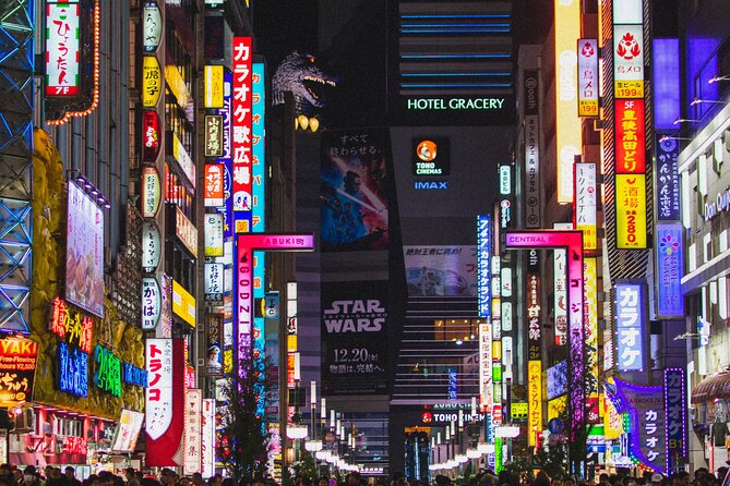 Private Shinjuku Nightlife Walking Tour & Golden-Gai Bar Crawl - Golden Gai bar hopping with a private guide