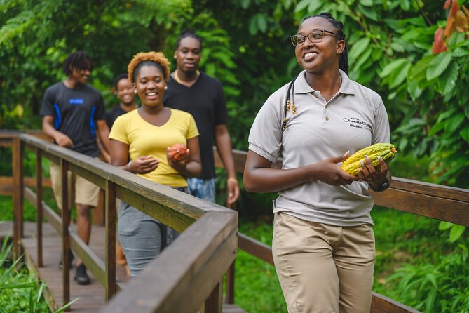 Project Chocolat Tree to Bar Tour at Hotel Chocolat Saint Lucia - What the $124 price really covers