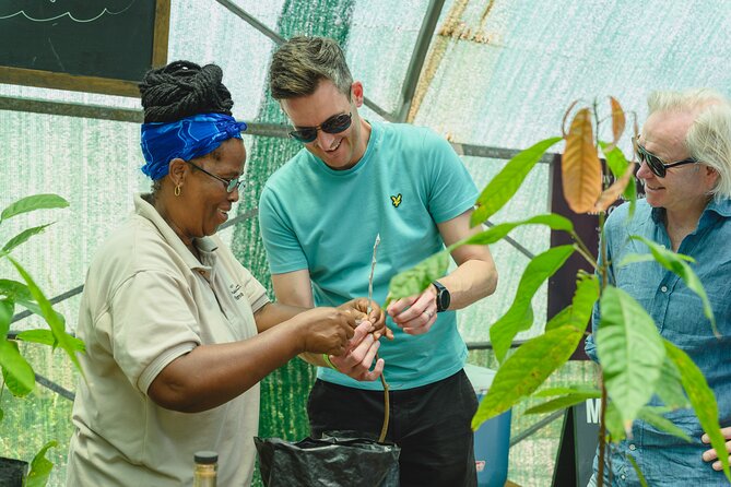 Project Chocolat Tree to Bar Tour at Hotel Chocolat Saint Lucia - Is this St Lucia chocolate tour worth booking?