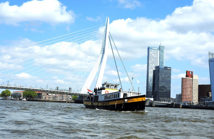 Rotterdam: Pub Cruise with Drinks and Bites - Dutch bites: bitterballen, cheese, and hot snacks