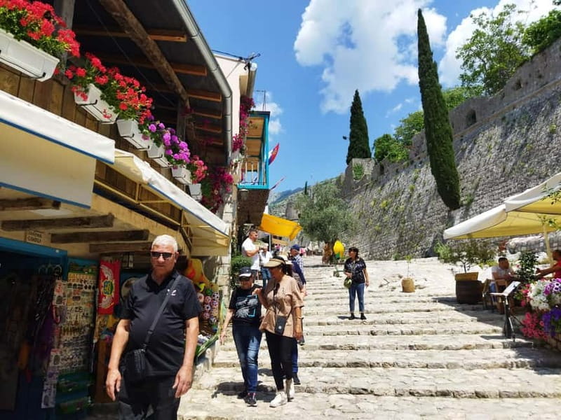 Secrets of the Old Town Bar - A Journey through Millennia - The Old Olive Tree and the meaning of Mirovica