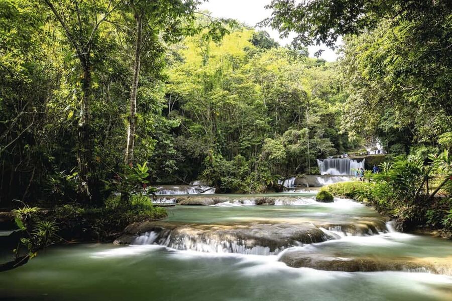 Shared or Private FD Appleton Rum, YS Falls & Pelican Bar - YS Falls: the day’s best chance to cool off