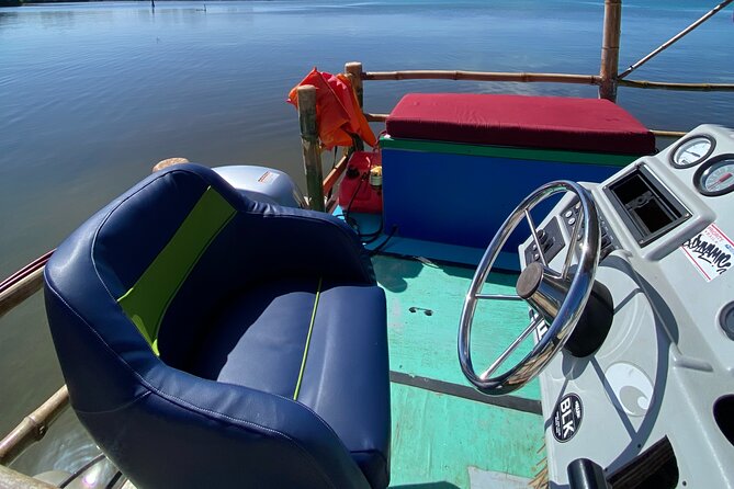 Shark & Ray Afternoon Swim Tiki Bar Cruise - Key points to know before booking