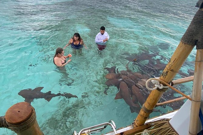 Shark & Ray Afternoon Swim Tiki Bar Cruise - A short boat ride from The Split to Shark Alley