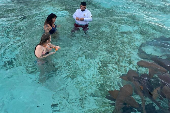 Shark & Ray Afternoon Swim Tiki Bar Cruise - Why the 90-minute length works well