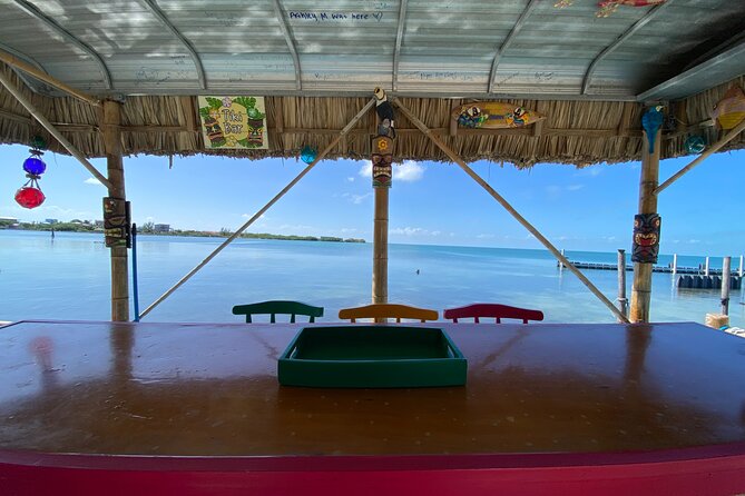 Shark & Ray Afternoon Swim Tiki Bar Cruise - Is $60 a fair price?