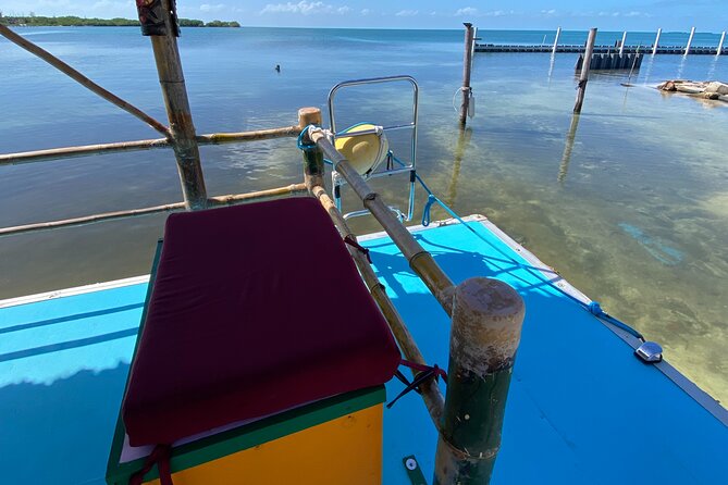 Shark & Ray Afternoon Swim Tiki Bar Cruise - A small crew makes the outing feel personal