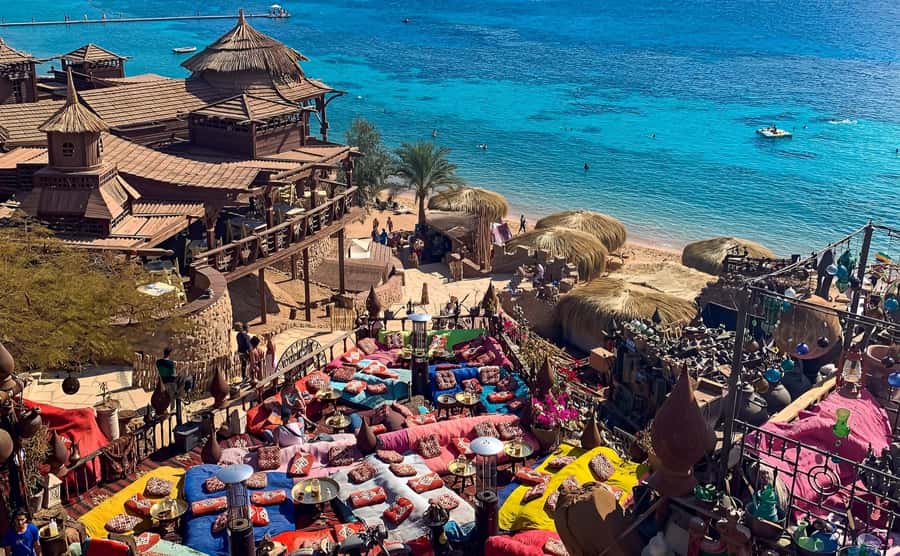 Sharm el Sheikh: Farsha Cafe & Soho Square Night Out Driver - Key points to know before booking