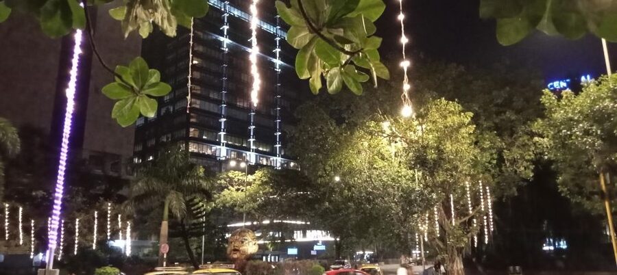 South Bombay Bar Live Tour 2 hours - How the guide shapes the experience