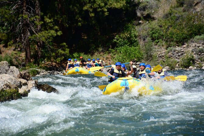 South Fork, American River: Chili Bar (Class III+ Whitewater) - Who will enjoy this river run most?