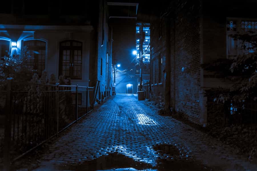 St. Augustine: Haunted Pub Crawl Walking Tour with a Guide - Who will enjoy this evening most
