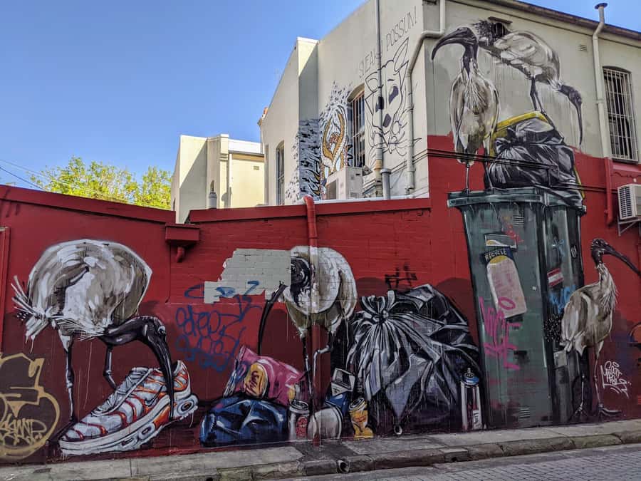 Sydney: Street Art & Small Bar Tour with Complimentary Drink - Key points to know before booking