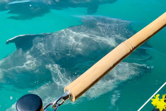 Tiki Boat - Clearwater - The Only Authentic Floating Tiki Bar - Who will enjoy this Clearwater tiki boat most