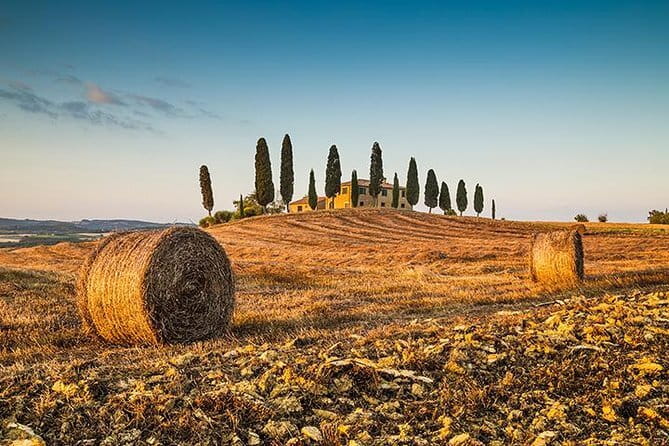 Tipsy Tour: Guided Bar Crawl In Florence with Dark History - What the $78.64 price really covers