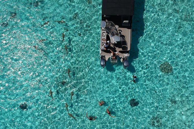 Toa Boat Bora Bora Private Lagoon Tour On Entertainer Bar Boat - A private start at 9:00 in Bora Bora