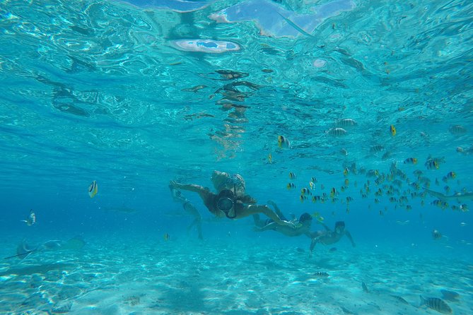 Toa Boat Bora Bora Private Lagoon tour with Lunch on Entertainer Bar Boat - Champagne, local beer, and Polynesian stories