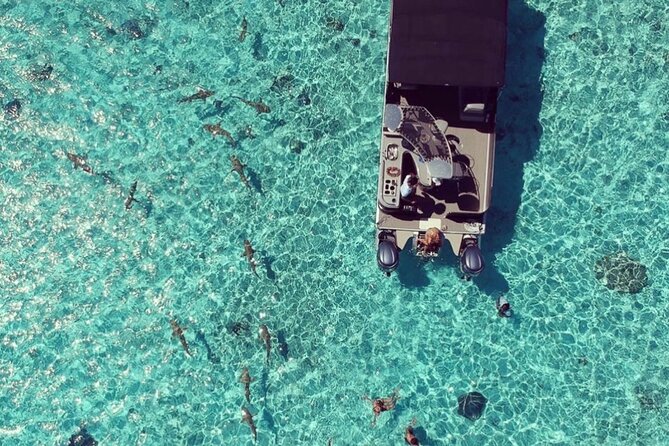 Toa Boat Bora Bora Private Lagoon tour with Lunch on Entertainer Bar Boat - Weather, wildlife, and the pace of the day