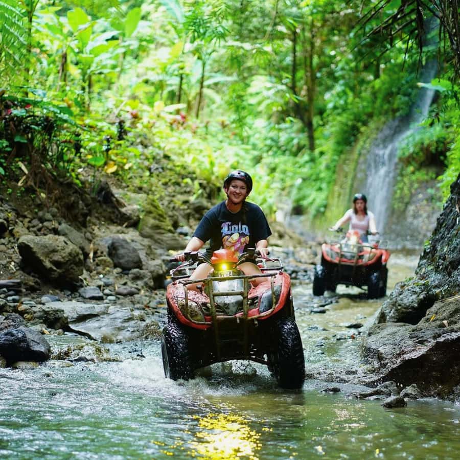Ubud Bali ATV Alasan Adventure Gorila Cave & Cretya Pool Bar - Key points at a glance