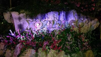 Xoximilco Ticket: Boat Fiesta, Traditional Tasting & Tequila Bar
