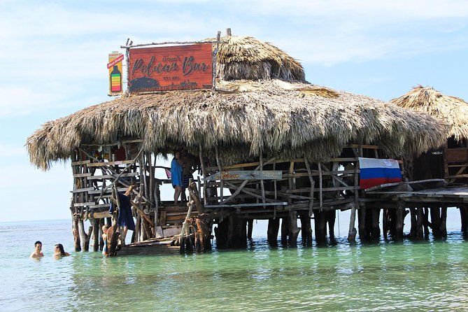 YS Falls, Black River Safari, and Floyd's Pelican Bar Day-Trip (Transportation) - Key points to know before booking