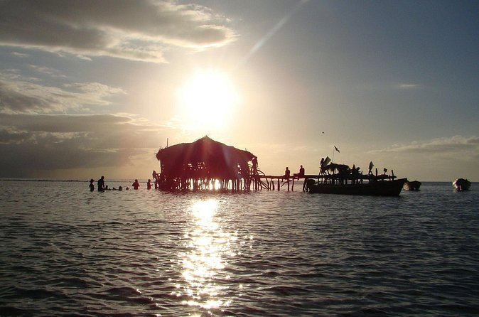 YS Falls, Black River Safari, and Floyd's Pelican Bar Day-Trip (Transportation) - Who will enjoy this day most