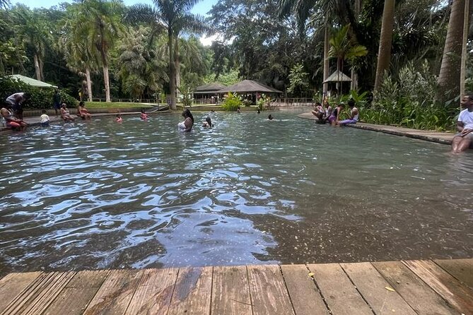 YS Falls, Black River Safari, Appleton Rum Tour OR Pelican Bar (Choose Up to 3) - Choosing the right three stops