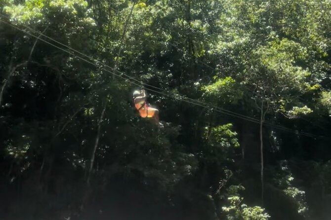YS Falls, Black River Safari, Appleton Rum Tour OR Pelican Bar (Choose Up to 3) - The driver can make or break the long road day