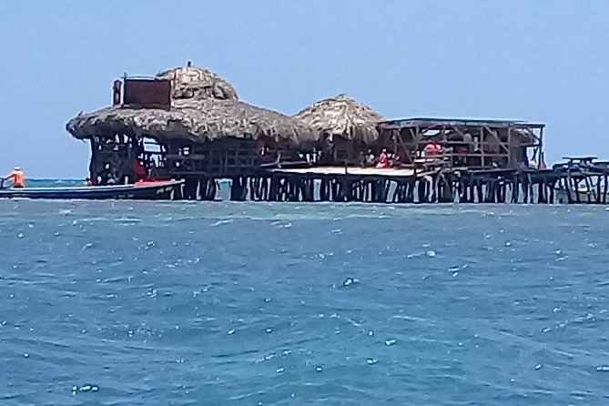 YS Falls & Pelican Bar Tour - What the guides add along the way