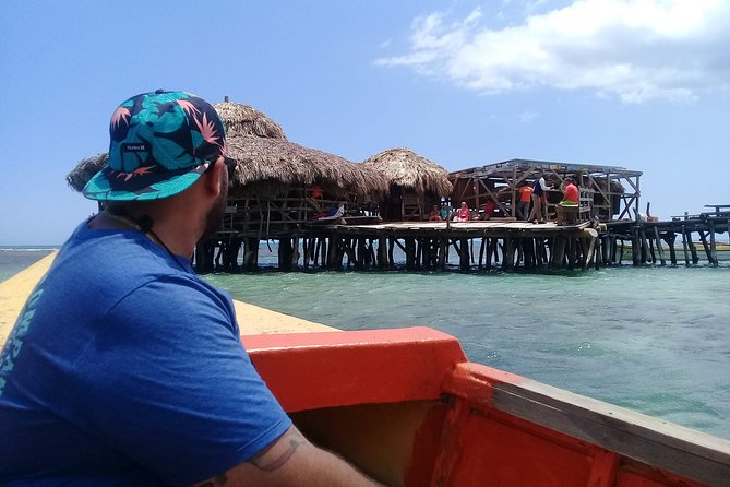 YS Falls & Pelican Bar Tour - Who should book this private day